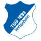 Vereinslogo: 1899 Hoffenheim